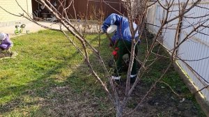 Работнички мои