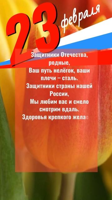 С 23 Февраля! С Днём Защитника Отечества! смотреть онлайн