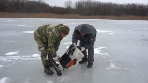 Рыбаки бьют тревогу из-за массового замора рыбы на российских водоемах
