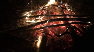 Костер в Бутово