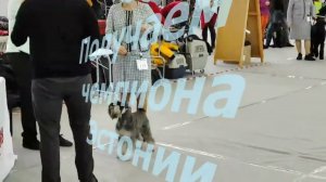 Narva Winter Cup 2022