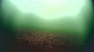 Камера DeepFishing V 3.0