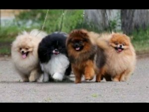 Обзор на бисер