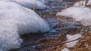 Эдуард Асадов - Он не страдал, он не ходил за нею....