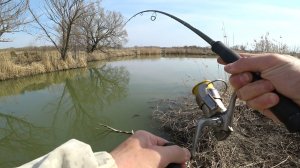 ДА СКОЛЬКО ЖЕ ЩУКИ В ЭТОЙ ЯМЕ