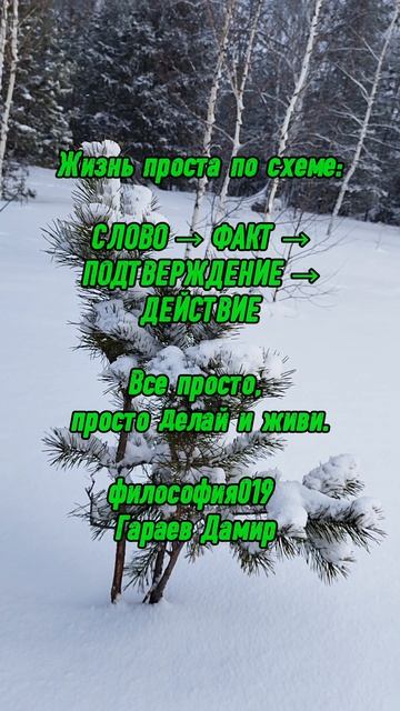 #философия019 #ГараевДамир #shorts
