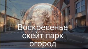 Сажаем салаты и щавель. Денису нужен самокат!