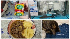 Закупочка🤏 Я всё успею!💪🧶