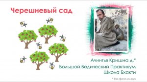 Большой Ведический Практикум - Е.М. Ачинтья Кришна прабху (Школа Бхакти)