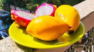 8. Пляж Палолем (Южное Гоа, Индия)