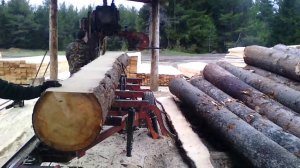 Wood-Mizer LT-40 Дизель 33 л.с. Cупер гидравлика Пилим ЁЛКУ 46 см.
