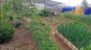 июнь 2025.Воспоминания🤌