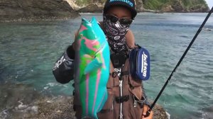 10 Загадочных Существ Снятых на Камеру