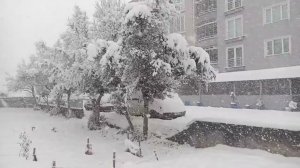 ☃️ Страна Сэфестия. ❄️ ＂ЧАРУЮЩЕЕ ЧУДО＂🌲🌲🌲