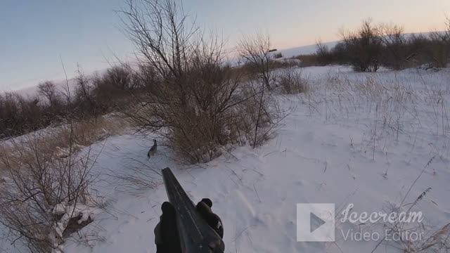 охота на зайца.выехал на лыжах смотреть онлайн