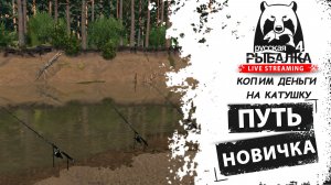 🎣 Русская рыбалка 4 🐟 | Путь Новичка:Копим на катушку на новый фидер. [РР4][RF4] #2