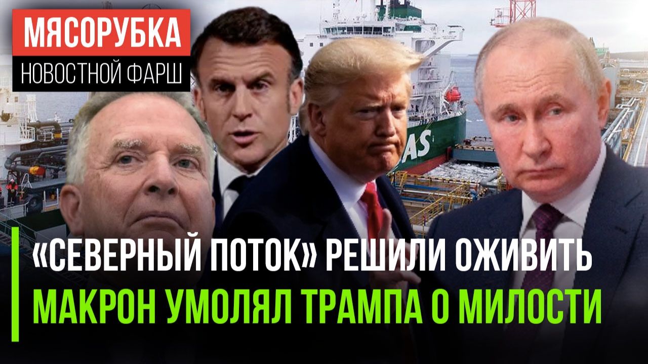 ЕС получил удар ниже пояса || Трампа довёл Париж до истерики || Уиткофф открыл секрет Путина смотреть онлайн