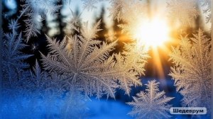 Мороз и солнце