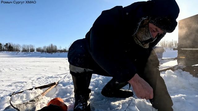 Жерлицы проверка. 14 день. смотреть онлайн