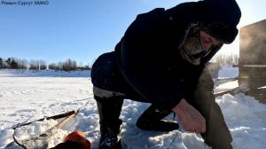 Жерлицы проверка. 14 день.