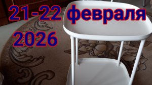 21-22 февраля 2026. Последний день Масленицы!