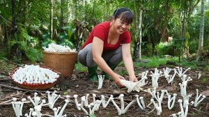 После дождя на земле слишком много диких грибов. Собираем урожай и отправляемся на рынок. Фуонг