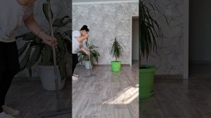 Уборка в 🏠 доме.