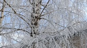 ФЕВРАЛЬ УДИВЛЯЕТ