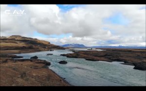 LIVE: C.A.Y. Records Digital Record Label