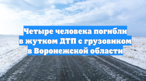Четыре человека погибли в жутком ДТП с грузовиком в Воронежской области