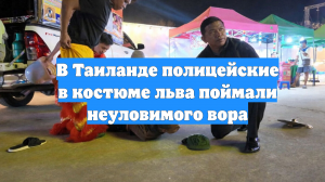 В Таиланде полицейские в костюме льва поймали неуловимого вора
