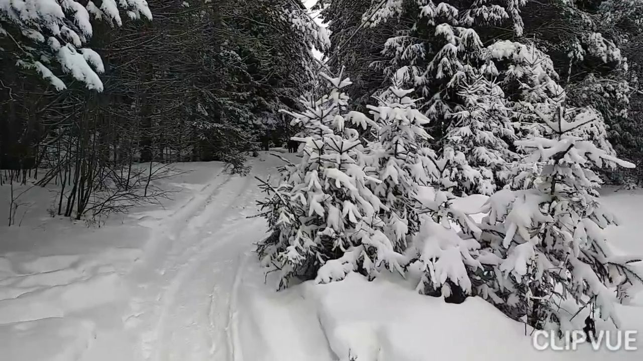 ЖИЗНЬ БЕЖИТ, ОБГОНЯЯ ГОДА!