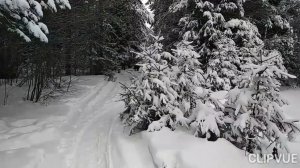 ЖИЗНЬ БЕЖИТ, ОБГОНЯЯ ГОДА!