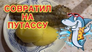 21/2 26 СНЕГОПАД СМЕНИЛ МОРОЗЫ. ПЕРЕЛОЖИЛА ВКЛАДЫ.