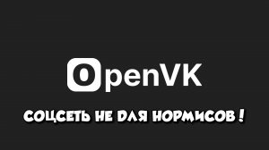 Как в OpenVK тебя могут забуллить просто за то, что ты нормис