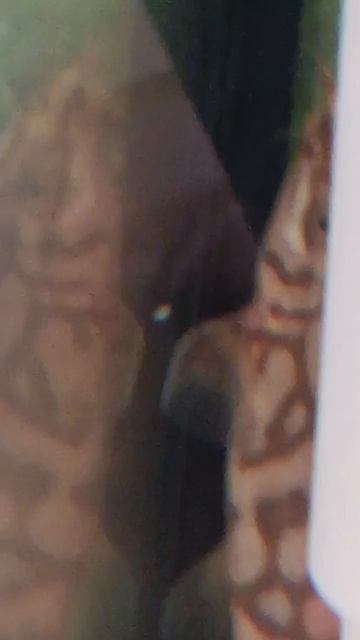 Мои рыбы смотреть онлайн