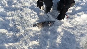 VID_20260222_104523_281