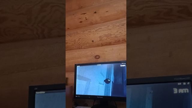 4 часть фнаф