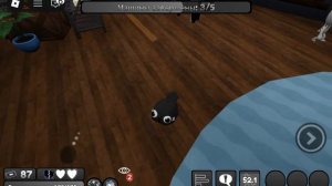 Я вожу за пеббла в мире денди