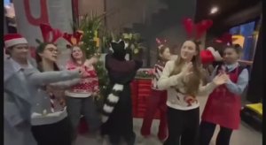 Christmas in Iceland | Focus 1 | 2025