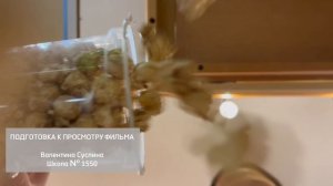 «Подготовка к просмотру фильма»