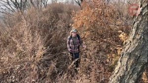 «По Уссурийскому краю». Редут времен русско-японской войны на сопке Лохматой.