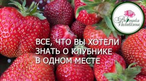 ПРИГЛАШЕНИЕ НА КУРС О ВЫРАЩИВАНИИ КЛУБНИКИ