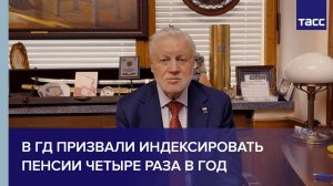 В ГД призвали индексировать пенсии четыре раза в год