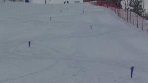 Кант 22.02.2026 - Слалом - кисти - 4склон