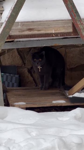 900 смотреть онлайн