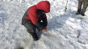 VID_20260222_104608_562