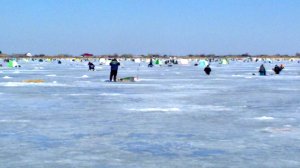 РАЗДАЧА КАРАСЯ 22.02.2026