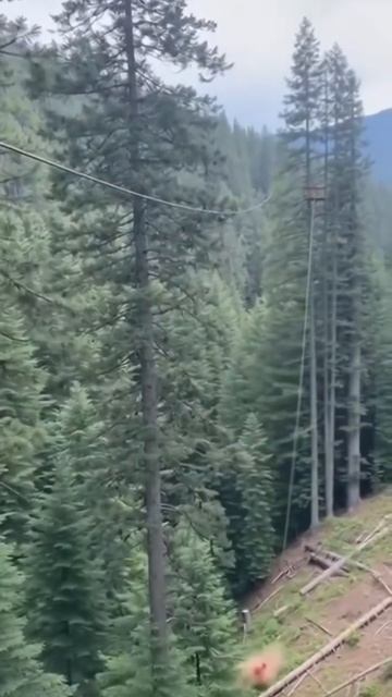 906 смотреть онлайн