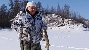 Щука с сюрпризом! Достал «золото» и приготовил деликатес 🍯